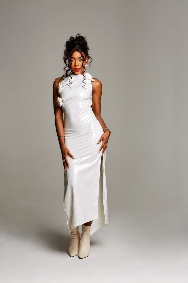 Ary maxi dress