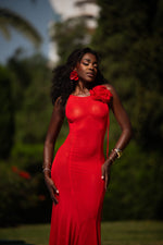 Charger l&#39;image dans la visionneuse de galerie, Amelie maxi dress
