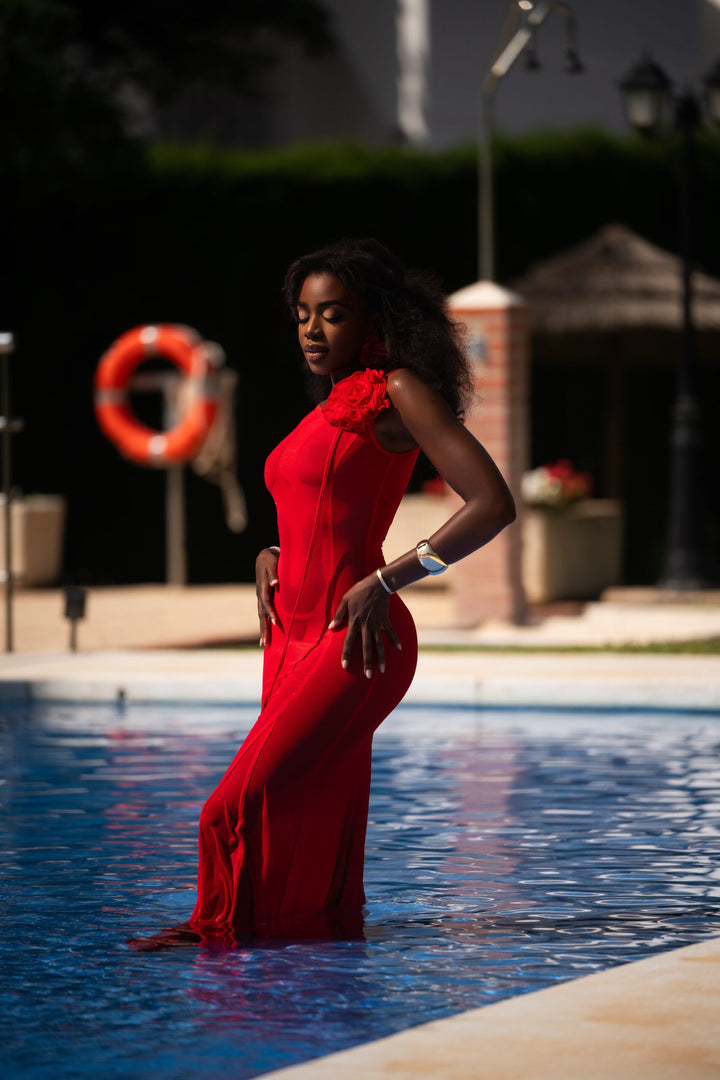 Amelie maxi dress