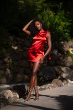 Load image into Gallery viewer, Lucia mini dress
