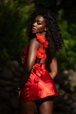 Load image into Gallery viewer, Lucia mini dress
