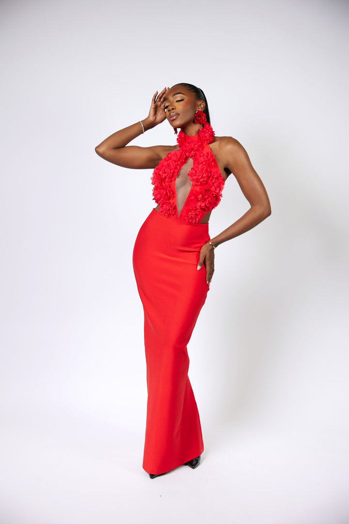 Arden maxi dress